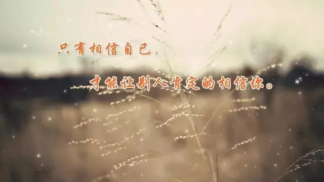 時代的印記與心靈的回響，精選心情短語與人生感悟回顧