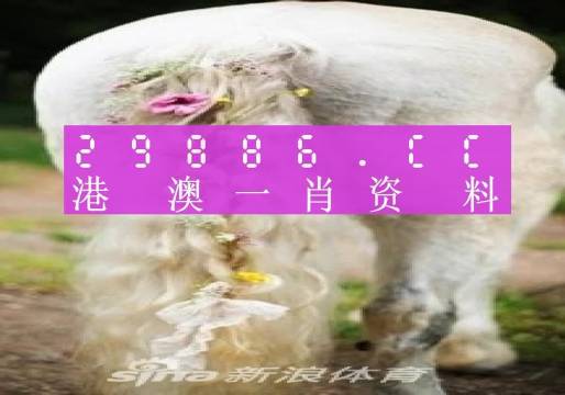 ＂今晚必中一肖一碼四不像＂的：全面數(shù)據(jù)分析_精英版3.89