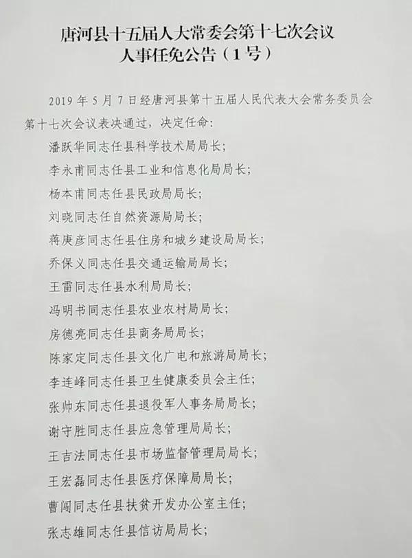 唐河人事變動資訊，科技助力人事資訊觸手可及，引領(lǐng)未來發(fā)展趨勢