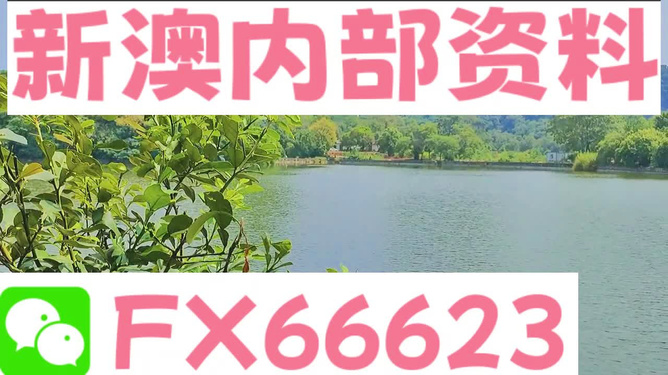 ＂新澳精準(zhǔn)資料免費(fèi)提供網(wǎng)站＂的：靈活性執(zhí)行方案_溫馨版3.17