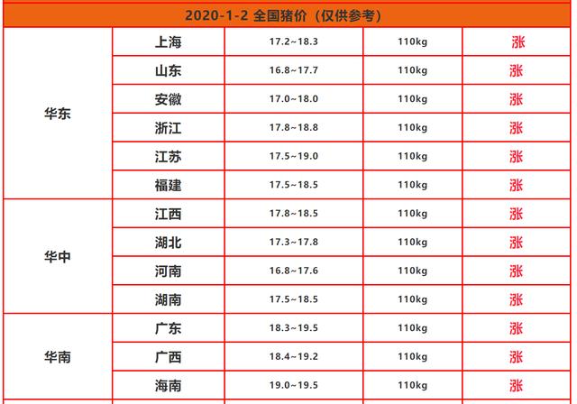 豬價最新動態(tài)