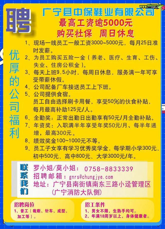 普寧流沙深處尋找特色小店司機(jī)，駕駛奇遇啟幕