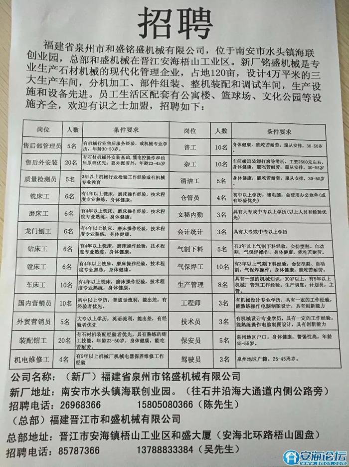 金清最新招聘資訊