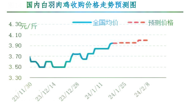 雞肉最新價(jià)格