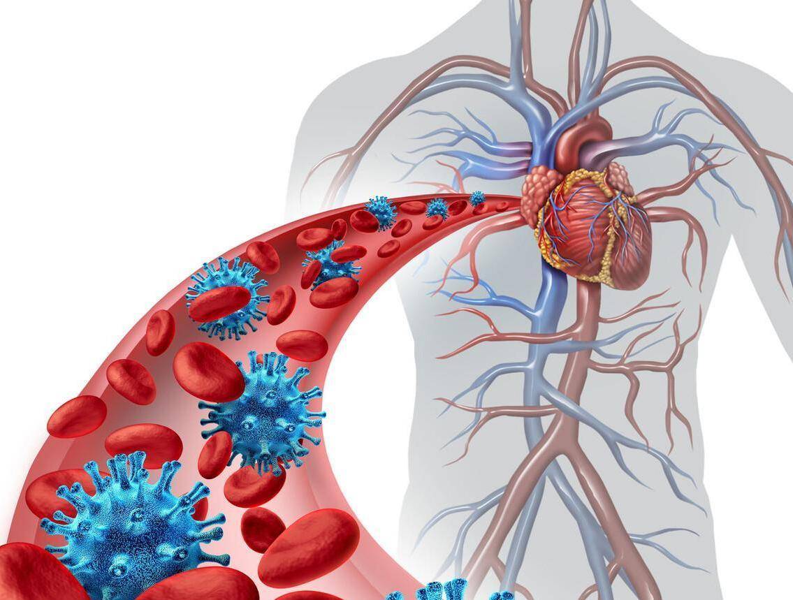 最新心血管病毒詳解，科普、預(yù)防與應(yīng)對(duì)攻略??