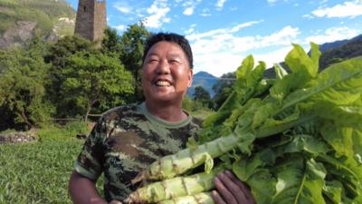 內(nèi)蒙古土豆價(jià)格行情詳解，如何獲取并分析土豆價(jià)格信息