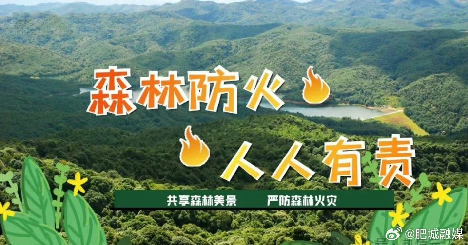 最新森林防火動態(tài)更新及概況