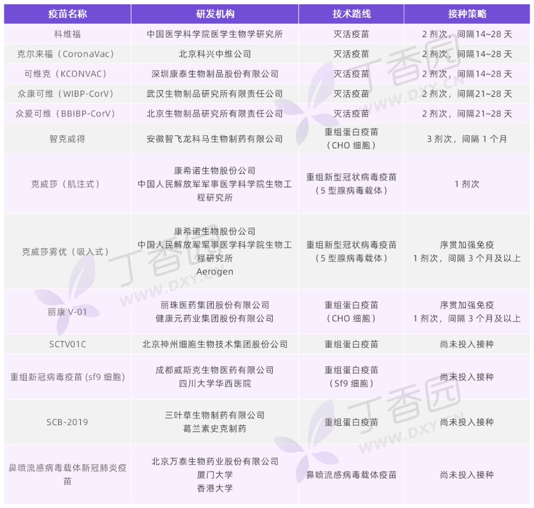 最新批準疫苗，接種時刻與歡樂一天的開啟